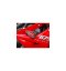Padací slidery SL01 Triumph Daytona 675 / R - Barva krytek: Červený eloxovaný hliník, Barva sliderů: Černý polyamid