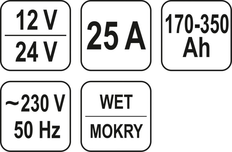 Nabíječka 25A 12/24V