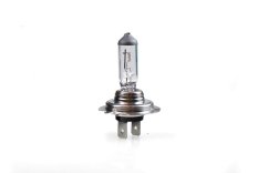 Žárovka 24V H7 70W Z907, 50305_b Žárovka 24V H7 70W Z907, 50305_b