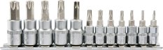 Bity Torx sada 12 ks (CrV 6150)