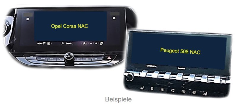 Video vstup Peugeot/Citroën NAC 10,25"