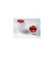 Padací protektory PHV Aprilia RSV 1000 Mille / R - Barva krytek: Červený eloxovaný hliník, Typ protektoru: PHV1K-půlkulatý černý protektor